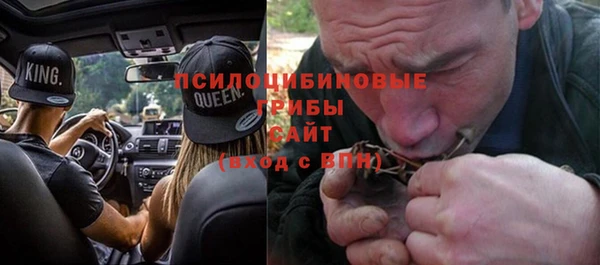 ГАЛЛЮЦИНОГЕННЫЕ ГРИБЫ Белокуриха