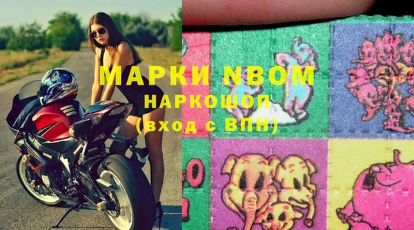 ГАЛЛЮЦИНОГЕННЫЕ ГРИБЫ Белокуриха