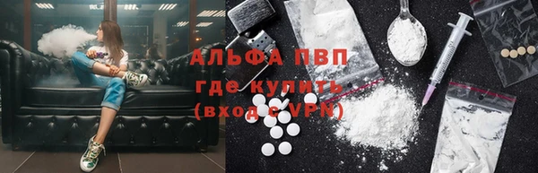 ГАЛЛЮЦИНОГЕННЫЕ ГРИБЫ Белокуриха