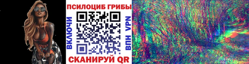 Псилоцибиновые грибы Psilocybe  Свободный 