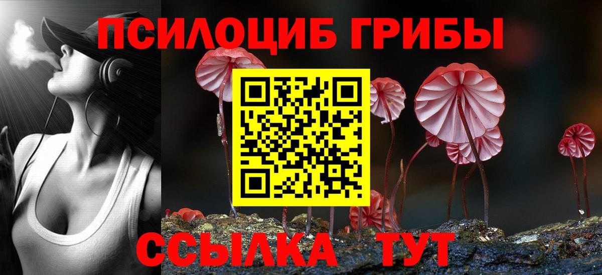 Галлюциногенные грибы ЛСД  Вход с VPN  Галлюциногенные грибы мухоморы  Свободный 