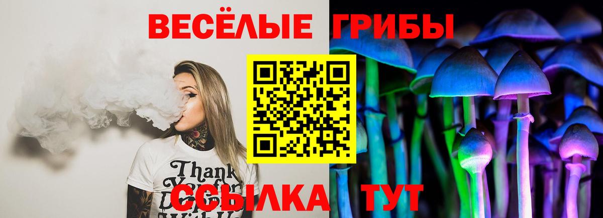 Псилоцибиновые грибы мухоморы Свободный