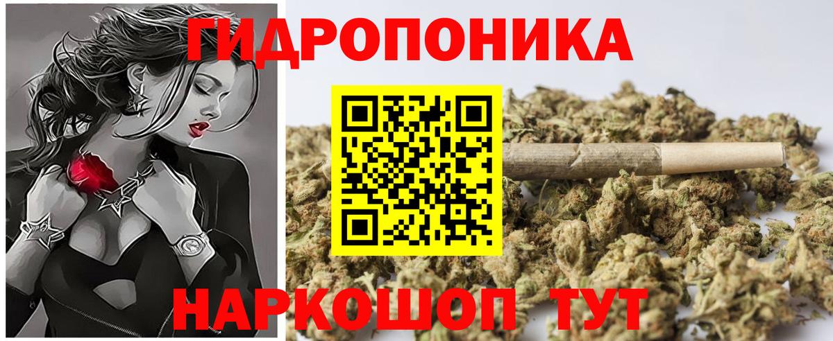 Бошки Шишки конопля  Бошки Шишки ГИДРОПОН  Свободный  Вход с VPN  Бошки Шишки семена 